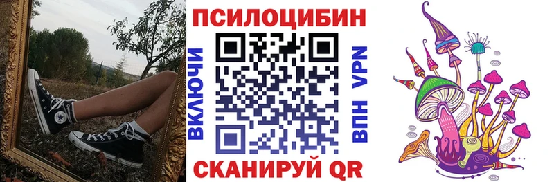Купить  Ардон  Псилоцибиновые грибы Psilocybine cubensis 